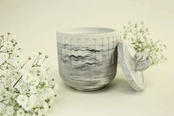 Birdnest Japanese - Image 3