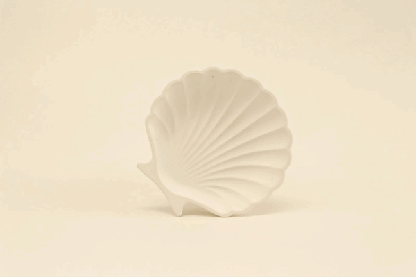 Shell form tray/dish