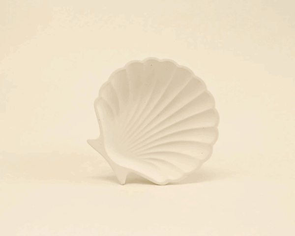 Shell form tray/dish