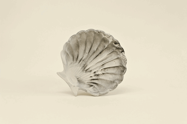 Shell form tray/dish - Image 3