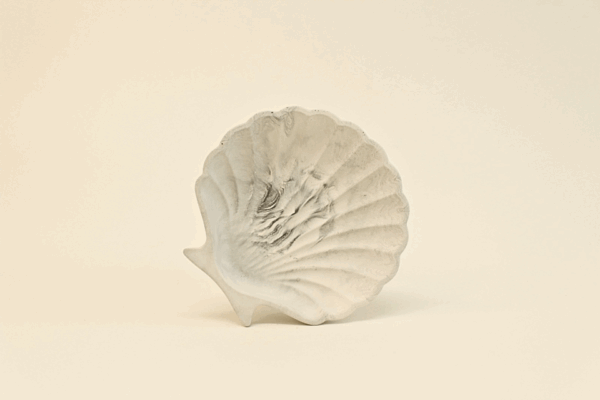Shell form tray/dish - Image 2
