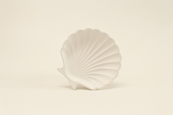Shell-shaped Dish