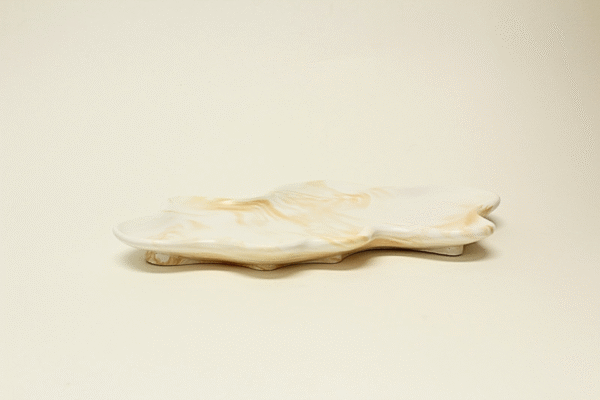 Irregular Large Tray - Image 2